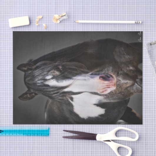 Horse Portrait II Tissuepapier (Craft)