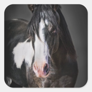 Horse Portrait II Vierkante Sticker