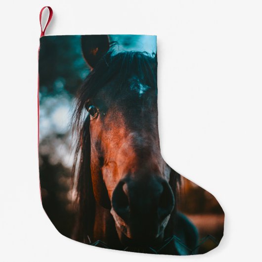 HORSE PORTRAIT KLEINE KERSTSOK (Voorkant)