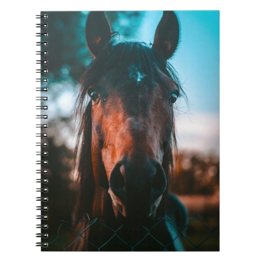 HORSE PORTRAIT NOTITIEBOEK (Voorkant)