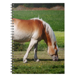 Horse portrait notitieboek
