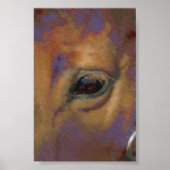 Horse Portrait Poster (Voorkant)