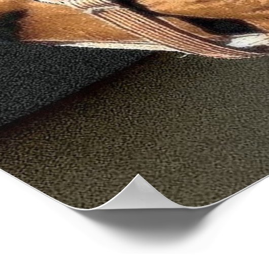 Horse Portrait Poster (Hoek)