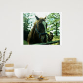 Horse Portrait Poster (Keuken)