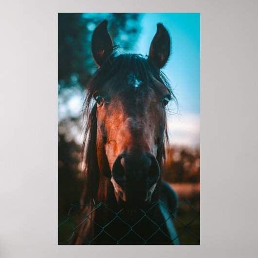 HORSE PORTRAIT POSTER (Voorkant)
