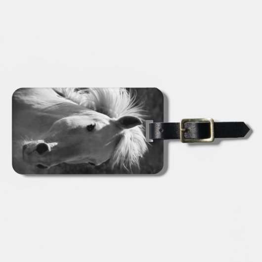 Horse Portrait V Bagagelabel (Voorkant horizontaal)