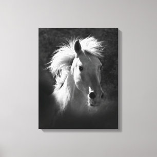 Horse Portrait V Canvas Afdruk