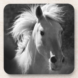 Horse Portrait V Drankjes Onderzetter