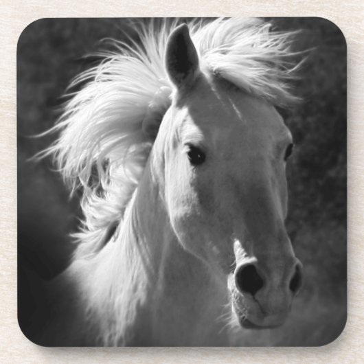 Horse Portrait V Drankjes Onderzetter (Voorkant)