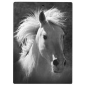 Horse Portrait V Klembord (Achterkant)