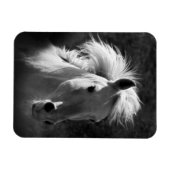Horse Portrait V Magneet (Horizontaal)