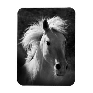 Horse Portrait V Magneet