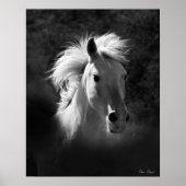 Horse Portrait V Poster (Voorkant)