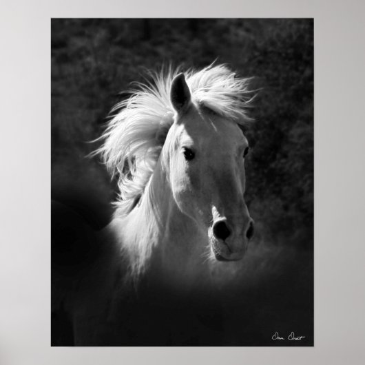 Horse Portrait V Poster (Voorkant)