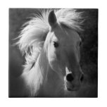 Horse Portrait V Tegeltje<br><div class="desc">Dieren</div>