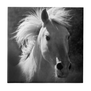 Horse Portrait V Tegeltje