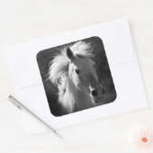 Horse Portrait V Vierkante Sticker (Envelop)