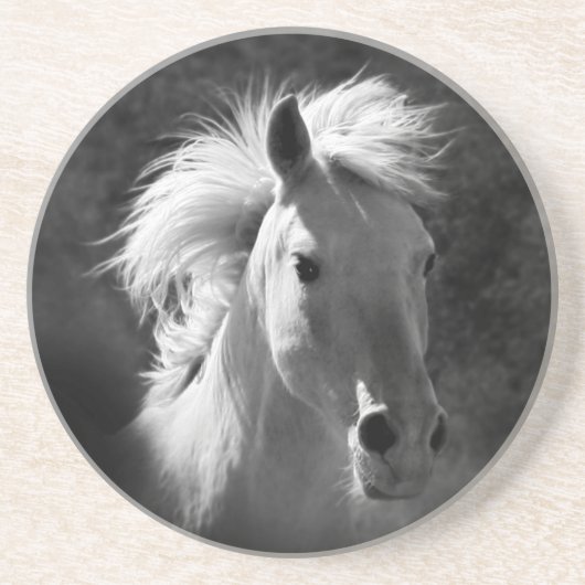 Horse Portrait V Zandsteen Onderzetter (Voorkant)