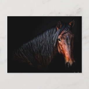 Horse Portrait VII Briefkaart