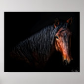 Horse Portrait VII Poster (Voorkant)