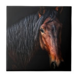 Horse Portrait VII Tegeltje<br><div class="desc">Dieren</div>