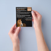 Horse Portret, Riding Instructor, Academie Flyer (Hand)