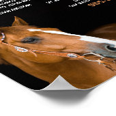 Horse Portret, Riding Instructor, Academie Poster (Hoek)