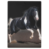 Horse portret VIII Klembord (Achterkant)