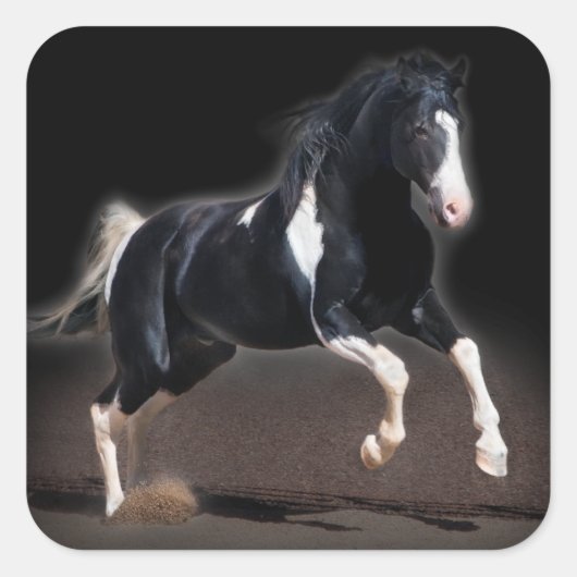 Horse portret VIII Vierkante Sticker (Voorkant)