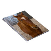 Horse pose notitieboek (Rechterzijde)