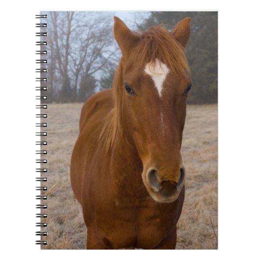 Horse pose notitieboek (Voorkant)