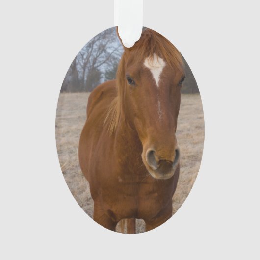 Horse pose ornament (voorkant)