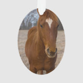 Horse pose ornament (achterkant)