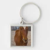 Horse pose sleutelhanger (Voorkant)