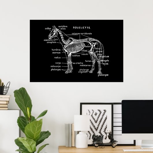 Horse Poster (Thuiskantoor)