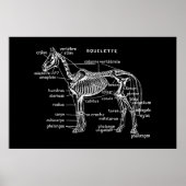 Horse Poster (Voorkant)