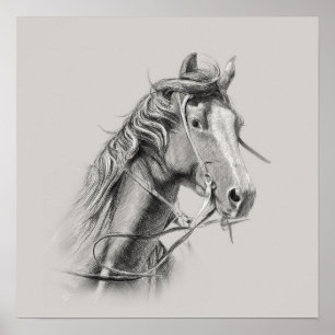 Horse Poster: Majestic Power op het display Poster