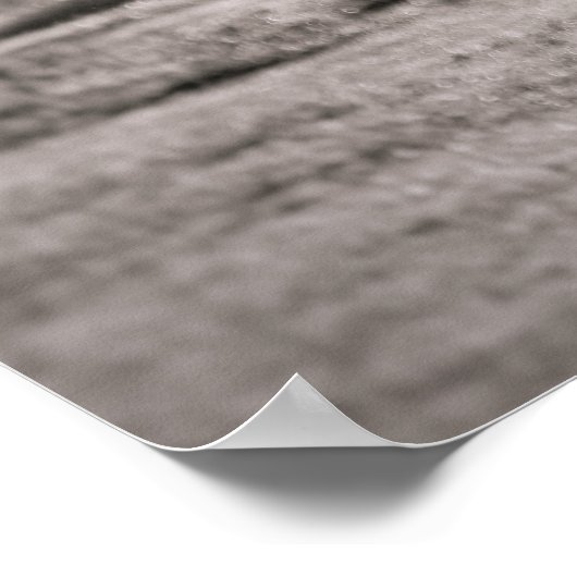 Horse Poster Photography (Hoek)