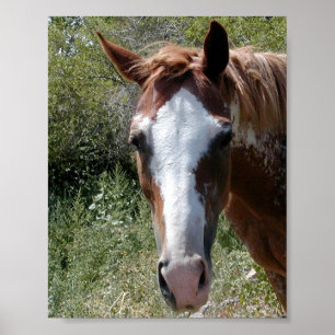 Horse ~Print~ Poster