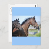 Horse Race Finish Line Briefkaart (Voorkant / Achterkant)