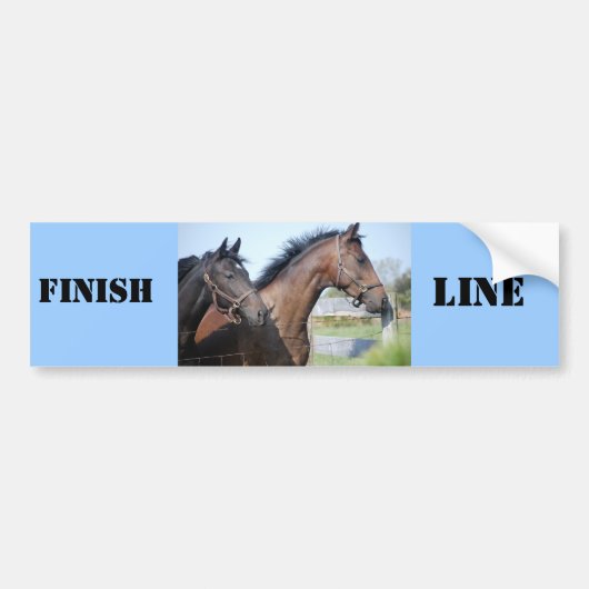 Horse Race Finish Line Bumpersticker (Voorkant)