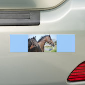 Horse Race Finish Line Bumpersticker (Op auto)