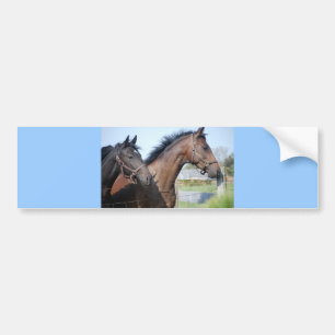 Horse Race Finish Line Bumpersticker