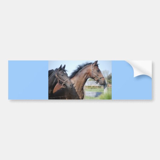 Horse Race Finish Line Bumpersticker (Voorkant)