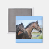 Horse Race Finish Line Magneet (Voorkant / Achterkant)