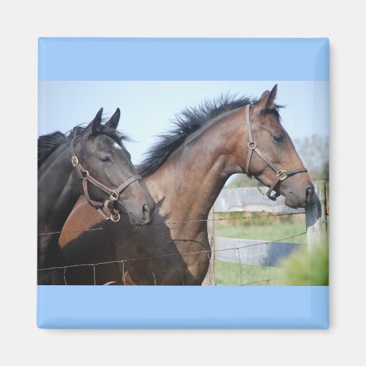Horse Race Finish Line Magneet (Voorkant)