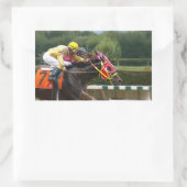 Horse Race Finish Sticker (Tas)