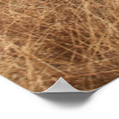 HORSE RACE POSTER (Hoek)