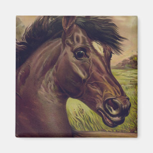 Horse Ranch Boerderij Country Pet Leuk Dier Magneet
