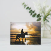 HORSE RIDER OP BACH BRIEFKAART (Staand voorkant)